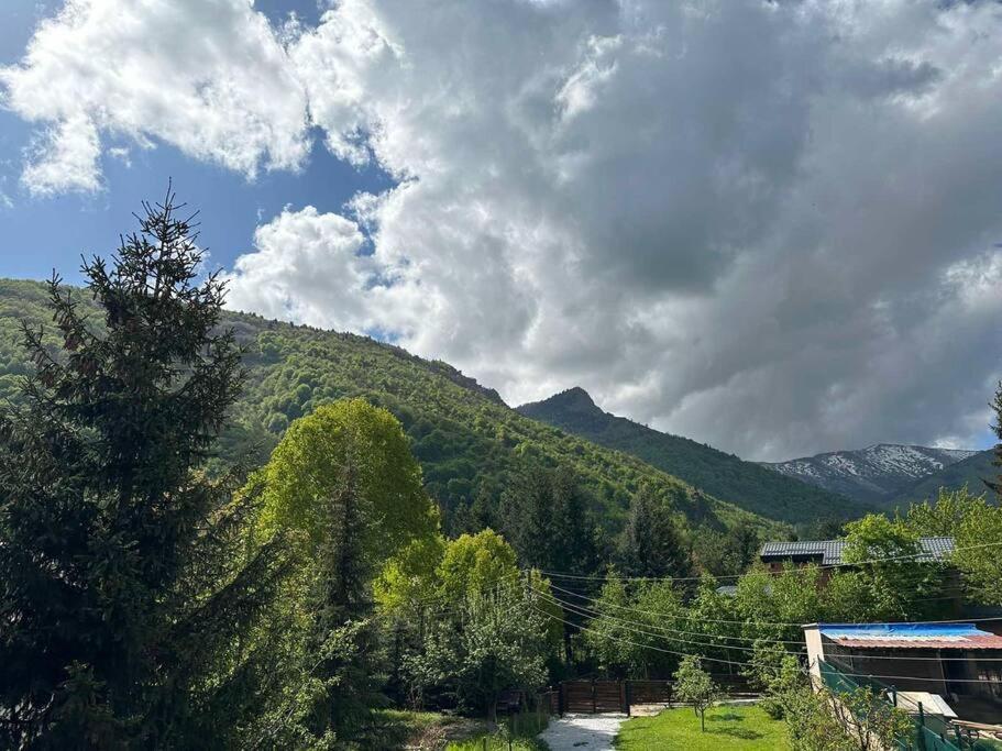 Cosy Mountain Villa In Nizepole Bitola Exteriér fotografie